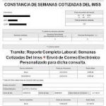 INSUFIENTE Constancia de Cotización de Portal del IMSS, para Demostrar que el Trabajador tiene OTRO Patrón…!!!